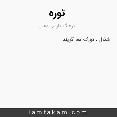 معنی توره - فرهنگ فارسی معین